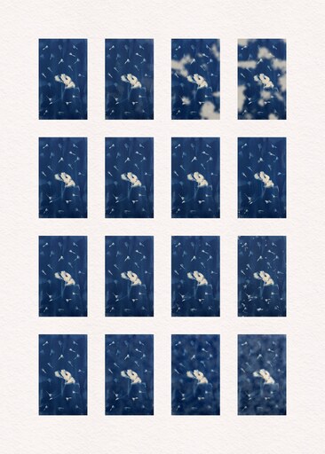 Cyanotype Variations